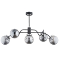 c25820a846e86b8e3989107ee6c5c206.jpg