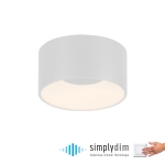 Lampa sufitowa Tanika 14325-16 – biała LED