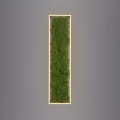 b6f0d30aebaebbcf0a3a388dc257bb8f.webp