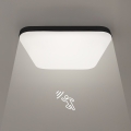 ml7971$e.png