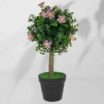 Roślina doniczkowa Drzewko bukszpanowe 5514 40 cm I EKKW2712