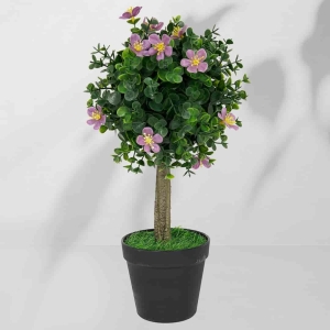Roślina doniczkowa Drzewko bukszpanowe 5514 40 cm I EKKW2712