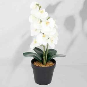 Roślina doniczkowa Storczyk 6400 38 cm I EKKW2714