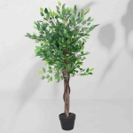 Roślina doniczkowa Drzewko figowca 5235 130 cm I EKKW2702