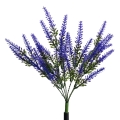 eko2529$e.png