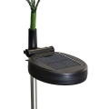 eko2529$f.png