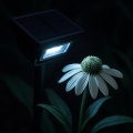 eko2523$d.png