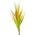 eko2526$f.png