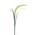 eko2528$f.png