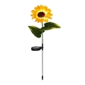 eko2494$g.png