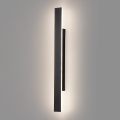 ml2516$c.png