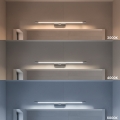 ml2040$b.png