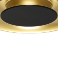 ml1812$b.png