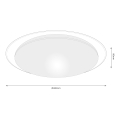 ml6409$i.png