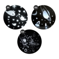 ml2262$g.png