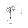 eko1448$g.png