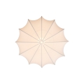 Aeron%202412206001_2.jpg