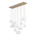 10754_NEBIA_SABIA_A.jpg
