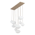 10754_NEBIA_SABIA_P.jpg