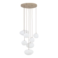 10756_NEBIA_SABIA_A.jpg