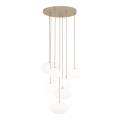 10756_NEBIA_SABIA_O.jpg