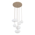 10756_NEBIA_SABIA_P.jpg