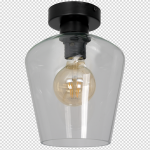 Lampa sufitowa SANTIAGO CLEAR 1xE27