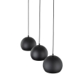 10169_ZOE_BLACK_D.jpg