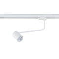 6477_TRACER_WHITE_B.jpg