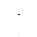 6419_PIANO_GOLD_D.jpg