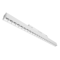 1131_4.jpg