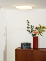 79198-22-61%20sf1.jpg