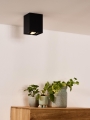 22953-01-30%20sf1.jpg