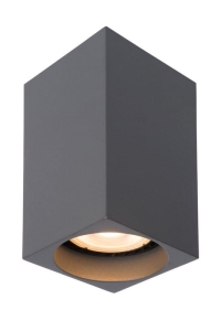 SPOT DELTO LED 09916/06/36