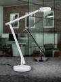 527920102_A.jpg