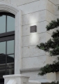 229360242_A.jpg