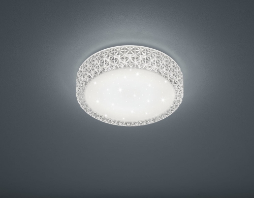 R62421100.jpg