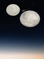 627516000_A.jpg