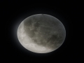 627516000_1.jpg