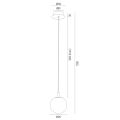 ALMIROS_8452.png