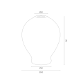 AMARYLIS_4095.png