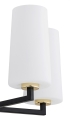 CAMELOT-PLUS_2114_2_net.jpg