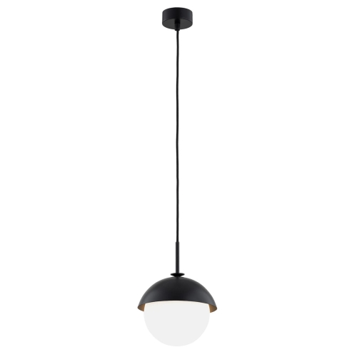CAPPELLO_8295_01_net.jpg