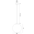 EVANS_8487_8488.png