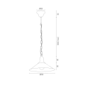 ERBA_631.png