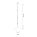 ERBA_3285.png