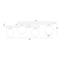 FREEMONT_1742.png