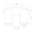 HAMPTON_6304.png