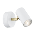 4209.jpg