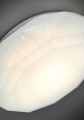 5906714864547_A464.jpg
